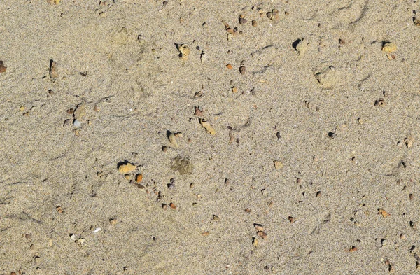 Фон з будівельного піску — стокове фото