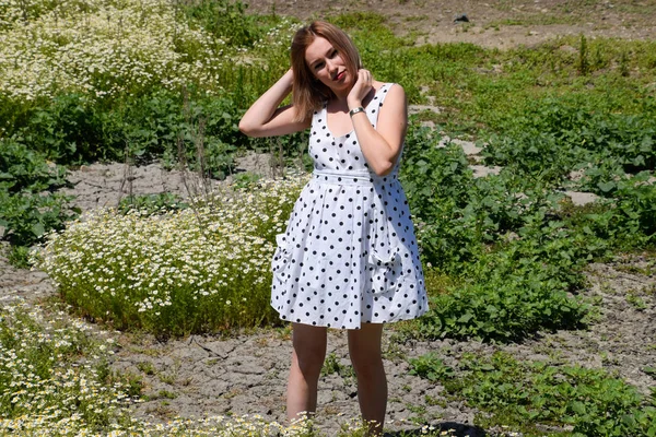 Eine Frau im weißen Kleid mit Tupfen steht auf einer Lichtung mit Gänseblümchen. Blühende Margeriten — Stockfoto