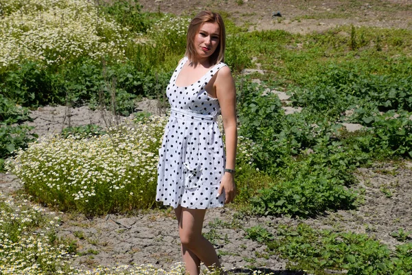 Une femme en robe blanche à pois est sur une clairière avec des marguerites. Marguerites fleuries — Photo