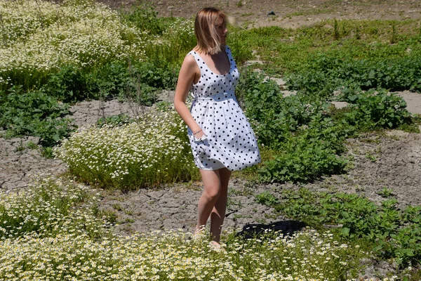 Uma mulher em um vestido branco com bolinhas está em uma clareira com margaridas. Margaridas em flor — Fotografia de Stock