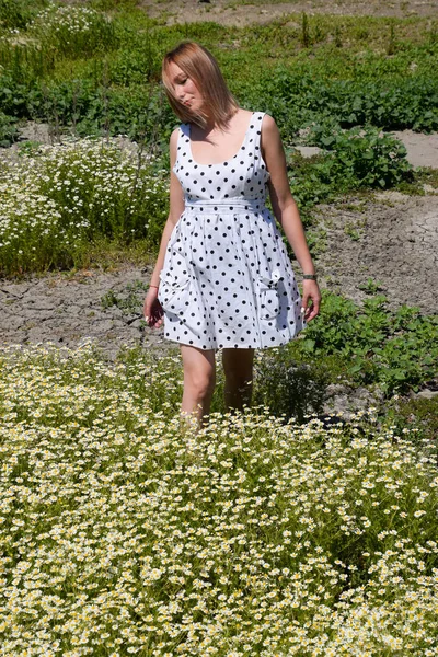 Eine Frau im weißen Kleid mit Tupfen steht auf einer Lichtung mit Gänseblümchen. Blühende Margeriten — Stockfoto