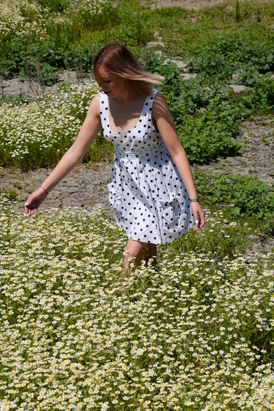 Une femme en robe blanche à pois est sur une clairière avec des marguerites. Marguerites fleuries — Photo