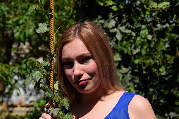 Portré egy lány egy kék ruhában a háttérben a zöld Arbor a borostyán. — Stock Fotó