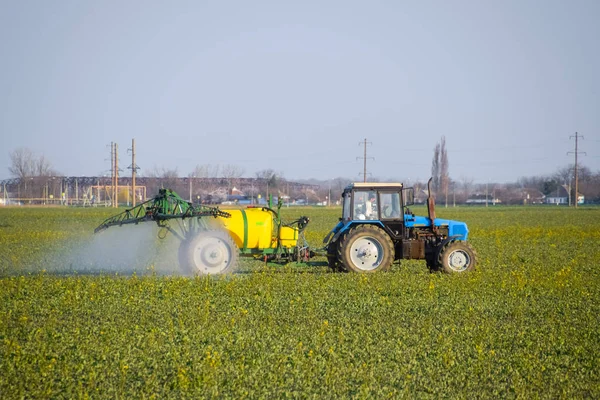 Trator fertiliza um campo de canola, pulverizando fertilizante com um trator . — Fotografia de Stock