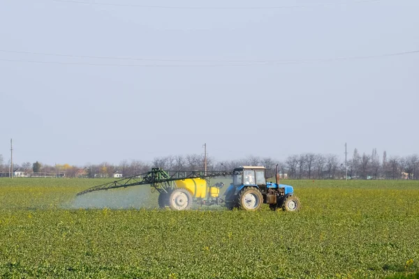 Traktor düngt ein Rapsfeld und versprüht Dünger mit Traktor. — Stockfoto