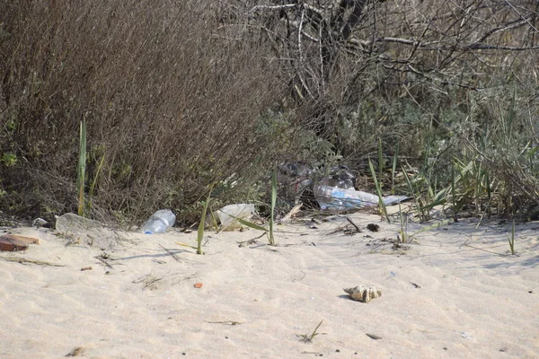 Basura bajo los arbustos en la naturaleza. Basura dejada por los turistas —  Fotos de Stock