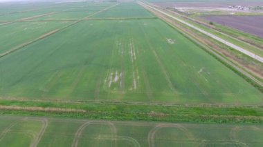 Sular altında pirinç paddies. Alanları pirinç büyüyen agronomik yöntemleri. Ekili hangi pirinç suda alanlarla sel. Yukarıdan görüntülemek