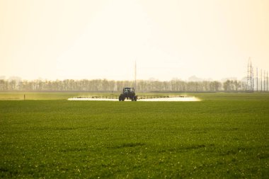 Bir spreycinin yardımıyla traktör, tarladaki genç buğdaylara sıvı gübre püskürtür..