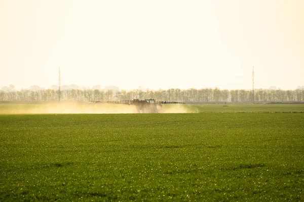 Trattore con l'aiuto di uno spruzzatore spruzza fertilizzanti liquidi sul grano giovane in campo. — Foto Stock