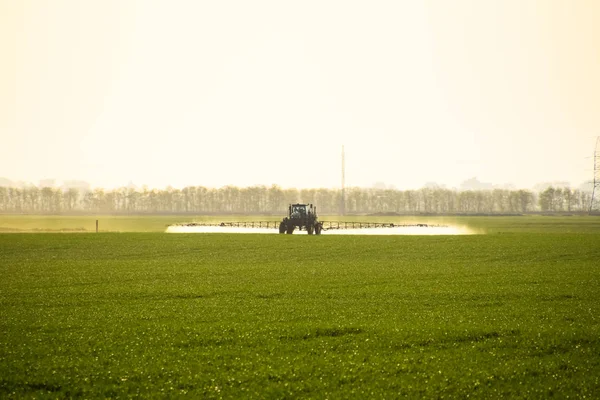 tractor with the help of a sprayer sprays liquid fertilizers on young wheat in the field.
