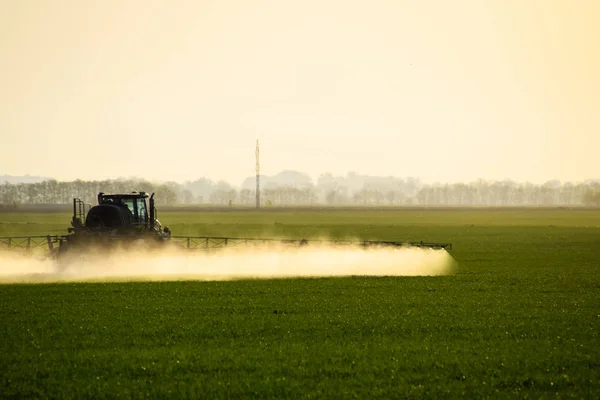 Traktor s pomocí postřikovače rozstřikuje tekutá hnojiva na mladou pšenici na poli. — Stock fotografie