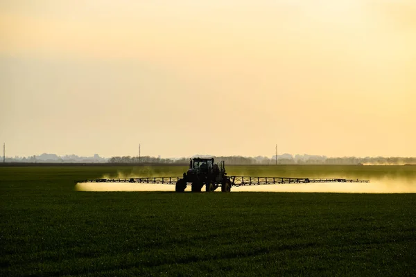 Trekker met behulp van een sproeier sproeit vloeibare meststoffen op jonge tarwe in het veld. — Stockfoto