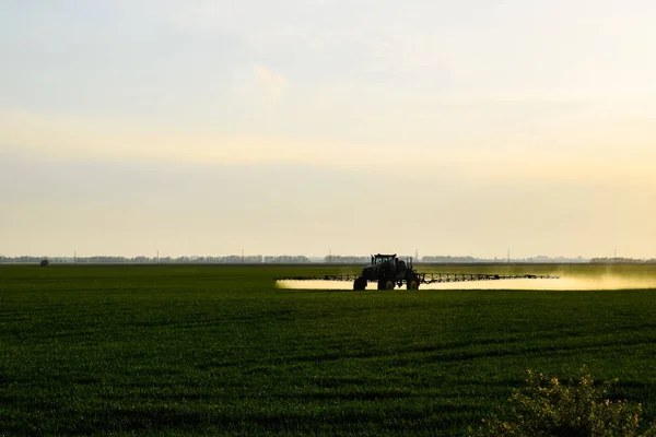 Traktor dengan bantuan penyemprot semprotan cairan pupuk pada gandum muda di lapangan. — Stok Foto