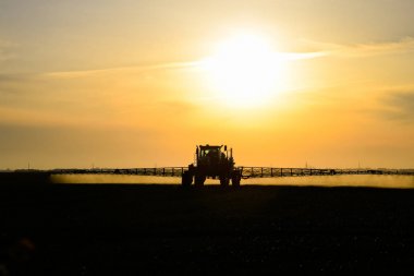 Bir spreycinin yardımıyla traktör, tarladaki genç buğdaylara sıvı gübre püskürtür..