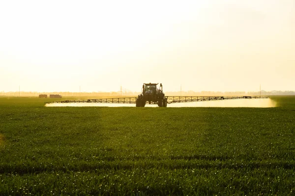 Trator com a ajuda de um pulverizador pulveriza fertilizantes líquidos em trigo jovem no campo. — Fotografia de Stock