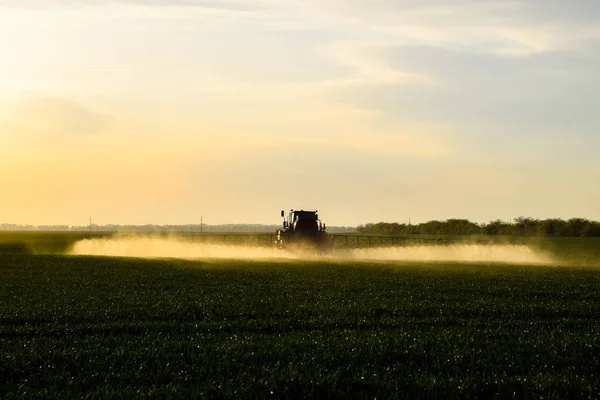 Traktor s pomocí postřikovače rozstřikuje tekutá hnojiva na mladou pšenici na poli. — Stock fotografie