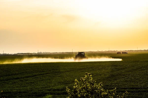 Traktor s pomocí postřikovače rozstřikuje tekutá hnojiva na mladou pšenici na poli. — Stock fotografie