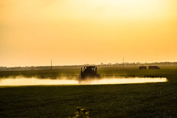 Traktor dengan bantuan penyemprot semprotan cairan pupuk pada gandum muda di lapangan. — Stok Foto
