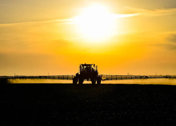 Tractor con la ayuda de un pulverizador rocía fertilizantes líquidos sobre el trigo joven en el campo. — Foto de Stock