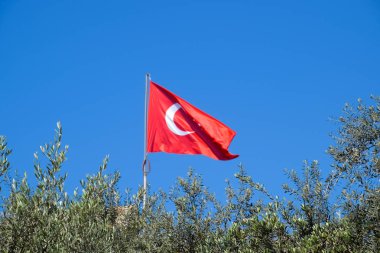 Mavi gökyüzüne ve ağaçların üstlere karşı Türk bayrağı.