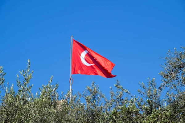 Bendera Turki terhadap langit biru dan puncak pohon . — Stok Foto