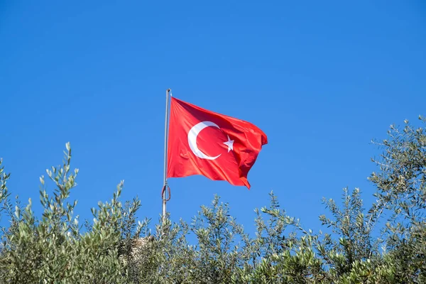 Türkische Flagge gegen den blauen Himmel und Wipfel der Bäume. — Stockfoto