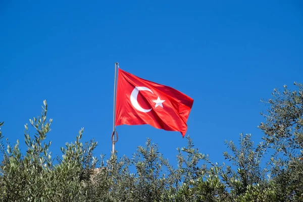 Turecká vlajka proti modrému nebi a vrcholkům stromů. — Stock fotografie