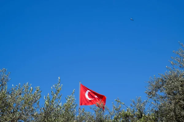 Turkse vlag tegen de blauwe hemel en toppen van de bomen. — Stockfoto