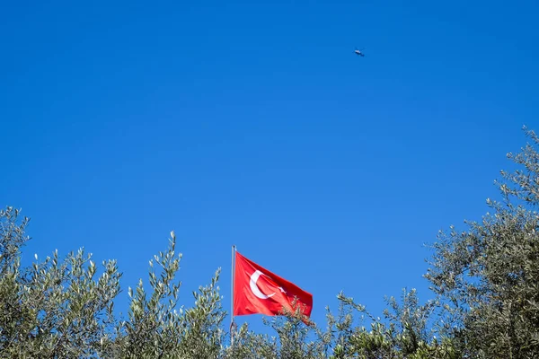 Türkische Flagge gegen den blauen Himmel und Wipfel der Bäume. — Stockfoto