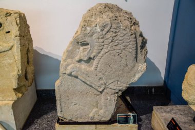 Antalya Müzesi'nde taş üzerine bir aslanın bas-kabartma, antik buluntular