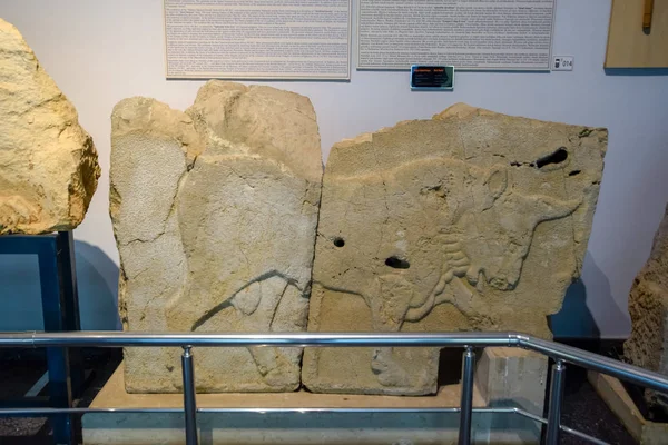 Барельеф быка на камне, музейный экспонат в музее древностей Анталии . — стоковое фото