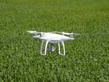 Beyaz quadrocopters buğday bir alan üzerinde uçan