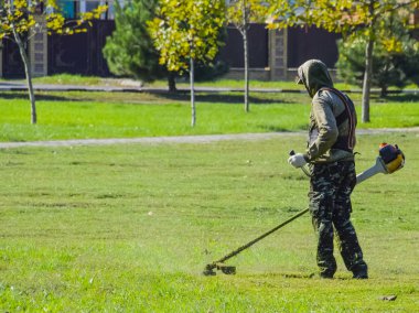 Çim biçme işçi. Çim giyotin biçme