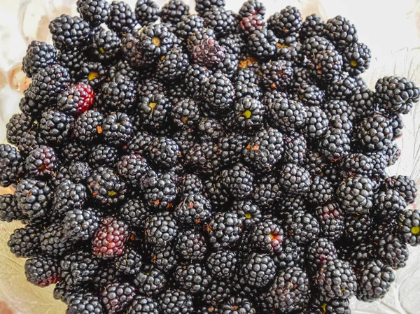 黒の果実ブラックベリーとプレート — ストック写真