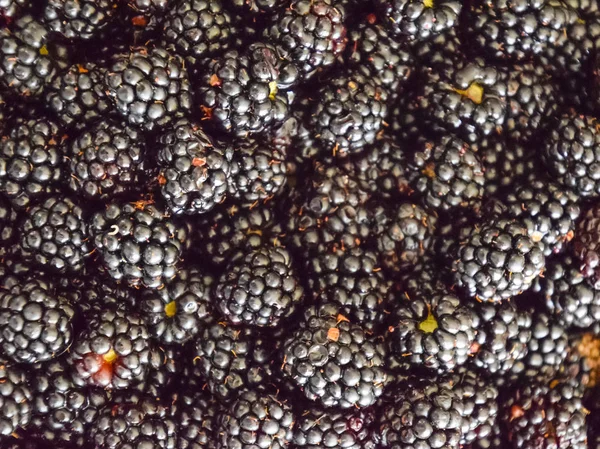 Płyta z czarnej jagody, jeżyny — Zdjęcie stockowe