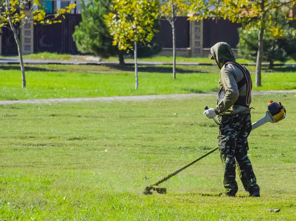 Çim biçme işçi. Çim giyotin biçme