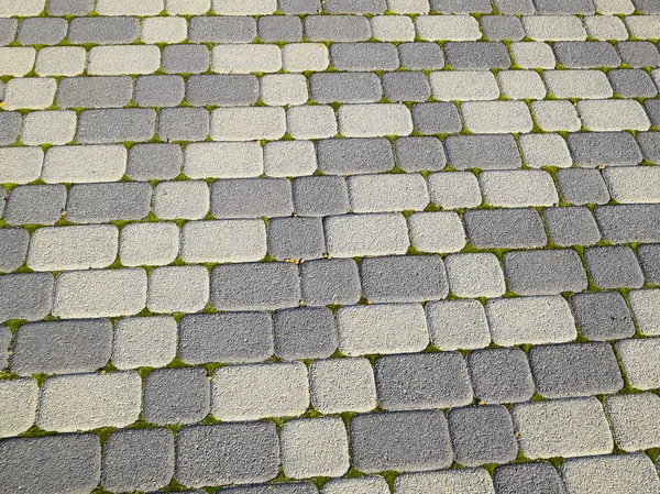 Fundo de construção industrial de lajes de pavimentação com crescido com musgo nas rachaduras. Texturização de fundo — Fotografia de Stock