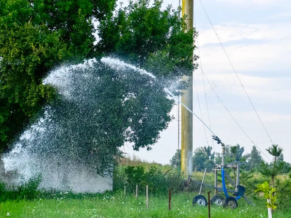 灌溉系统在花园里浇水。给公园里的幼苗浇水。浇灌田野。喷 水 灭火. — 图库照片