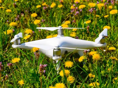 Quadrocopter dji Phantom 4 karahindiba çiçekler ile bir takas üzerinde.