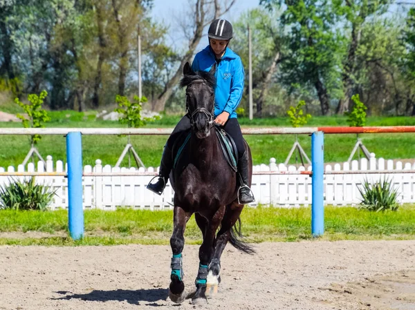 Deportes ecuestres con adolescentes. Club de caballos. Una chica monta a caballo. . — Foto de Stock