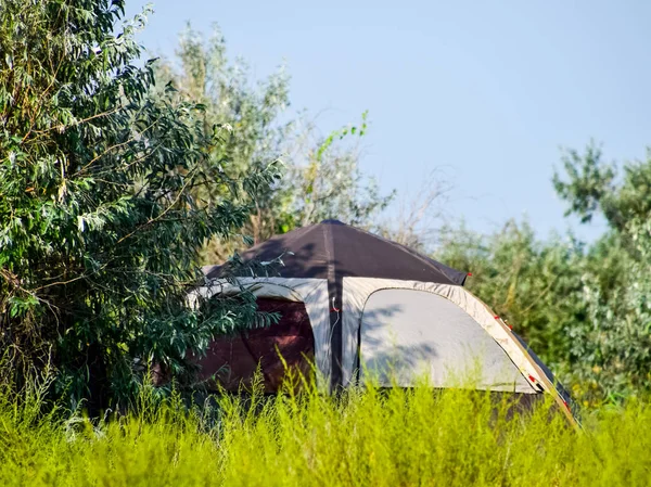 Namiot turystyczny pod drzewem. Turystyczny Camping. Multi namiot — Zdjęcie stockowe