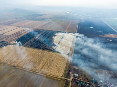 Yanan saman alanlarındaki