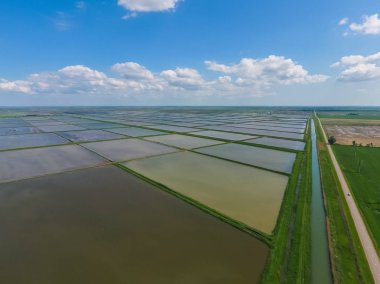 Sular altında pirinç paddies. F pirinç büyüyen agronomik yöntemleri