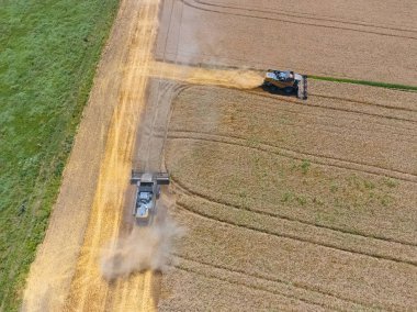 υψηλής ανάλυσης απόδοσης μιας πυξίδας με ένα εικονίδιο του πελάτη