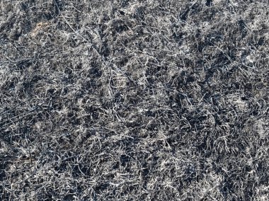 Yanmış çim küllerinden arka plan