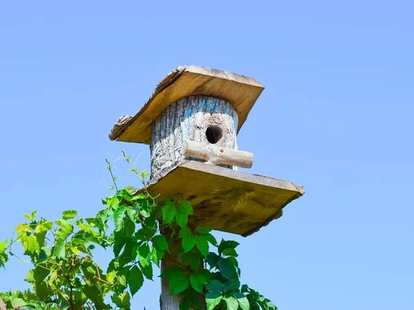 Vogelhäuschen, Häuser für Vögel — Stockfoto