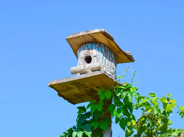 Nestkastjes, huizen voor vogels — Stockfoto