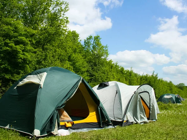 Namioty turystyczne w lesie na kempingu — Zdjęcie stockowe