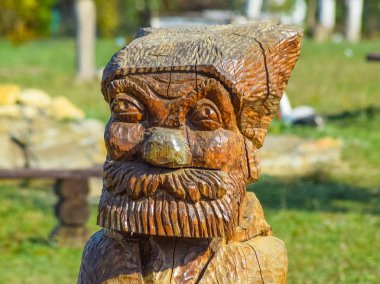 Bir sakallı yaşlı adamın yüzünü günlüklerini dışarı oyma