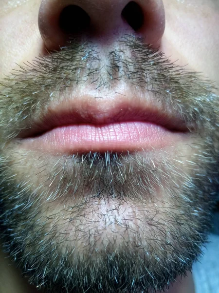 Jovem barbudo, restolho perto. Unshaven mais de uma semana. — Fotografia de Stock